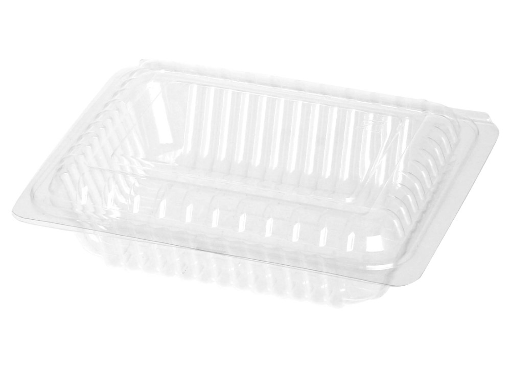 9H OPS Sushi Container 100*20