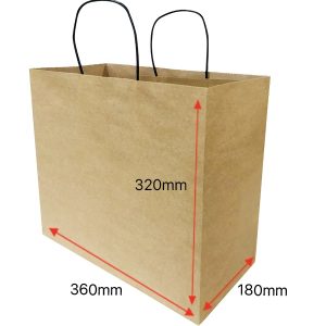 Paper Carry Bags